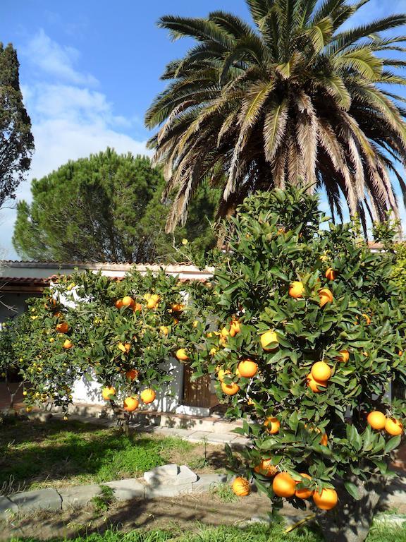 Il Giardino Di Emilio Bed & Breakfast Marrùbiu Oda fotoğraf